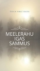 Meelerahu igas sammus