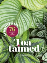 Toataimed. 76 lemmikut läbi aegade